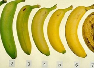 Alimentation : savez-vous laquelle de ces 7 bananes est meilleure pour vous ?│MiniBuzz
