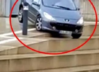 Allemagne: une femme âgée de 79 ans descend un escalier au volant de sa Peugeot… Attendez de voir !│MiniBuzz
