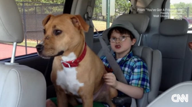 Une pitbull est adoptée par la famille d’un enfant autiste. L’effet est surprenant.