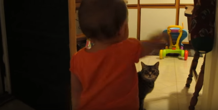 Une petite fille s'approche de son chat : ne manquez pas leur conversation hilarante