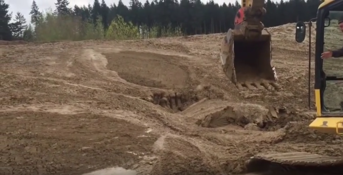 Un ouvrier voit quelque chose bouger dans la boue: ce qu'il réussit à faire est incroyable!