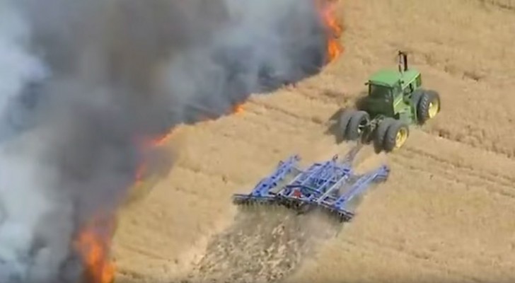 Un Incendie Brûle La Moisson… Voilà Comment L’agriculteur Parvient à L’arrêter. Quel Courage!