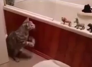 Il entre dans la salle de bains et la trouve envahie de créatures étranges. Ne manquez pas sa réaction!│MiniBuzz
