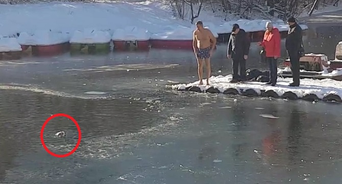 Le chien se noie dans le lac gelé. Ce que fait cet homme fait de lui un héros.