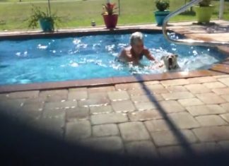 La femme essaie de faire sortir le chien de la piscine... Mais ce ne sera pas une tâche facile !│ MiniBuzz