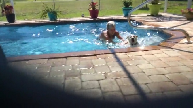 La femme essaie de faire sortir le chien de la piscine… Mais ce ne sera pas une tâche facile !