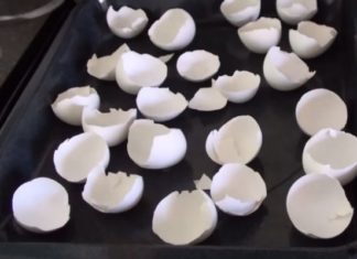 Lorsque Vous Comprendrez Pourquoi Il Fait Cuire Des Coquilles D'œufs, Vous Ne Les Jetterez Plus! | Minibuzz