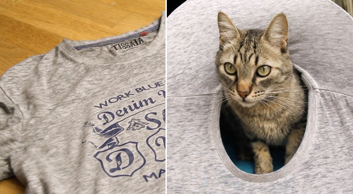 Voici Comment Construire Une Couchette Pour Chats En Utilisant Un Vieux T-shirt