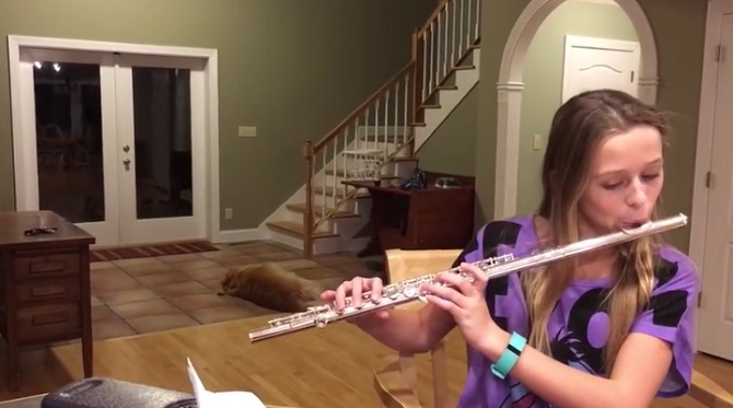 Elle s’exerce avec sa flûte, mais quelqu’un n’apprécie pas la leçon !