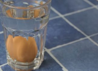 Mettez un œuf dans l'eau: Si la même chose que la vidéo se produit, ne le mangez pas!│ MiniBuzz