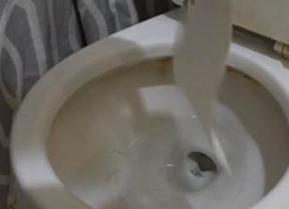 Pourquoi il met du vaisselle dans les toilettes ? Découvrez le, c'est surprenant!