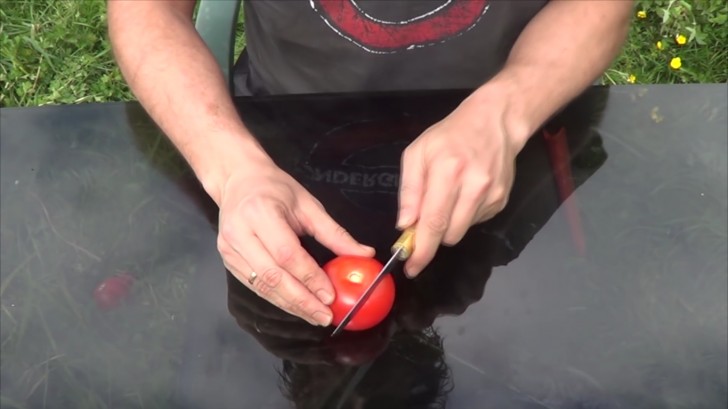 Il coupe la tomate en tranches et l’enterre : voici comment se passer des tomates du supermarché