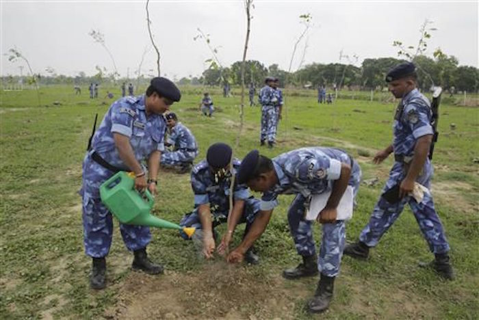 Inde : 50 millions d'arbres plantés en une seule journée. │MiniBuzz
