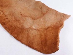 Muskin, le cuir 100% végétal fabriqué avec des champignons │ MiniBuzz