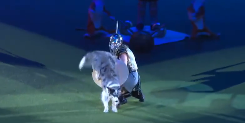 L’habilité de ce chien et de son entraîneur va au-delà de l’imaginable : les voici dans un duel entre gladiateurs!