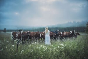 Jonna Jinton attire les vaches en chantant le Kulning │MiniBuzz