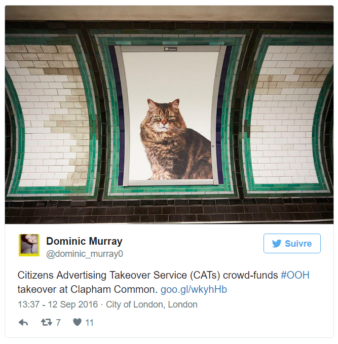 A Londres, les chats envahissent les publicités du métro
