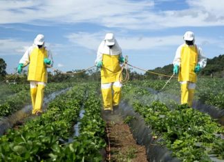 Le réseau Déphy ? 3 000 fermes engagées contre les pesticides ! │MiniBuzz