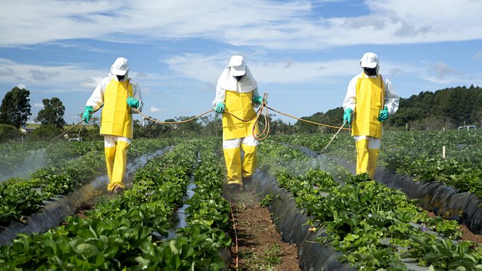 Le réseau Déphy ? 3 000 fermes engagées contre les pesticides !