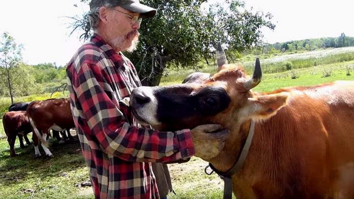 Un éleveur abandonne son métier… et ouvre un sanctuaire pour animaux