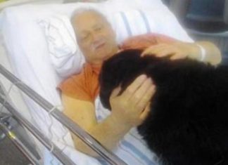 Un Belge en phase terminale obtient l'autorisation de faire ses adieux à son chien à l’hôpital.