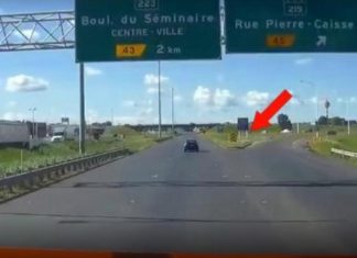 Un camionneur Québécois assiste à une scène très bizarre sur l'autoroute 35! │ MiniBuzz