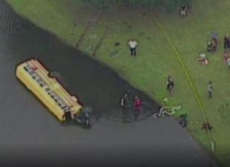 Un garçon de 10 ans sauve 27 enfants d'un bus scolaire tombé dans un étang d'alligators! │ MiniBuzz
