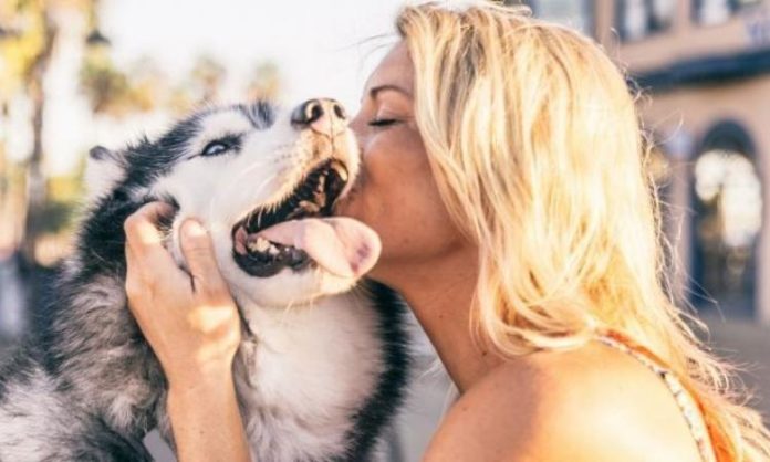 Voici pourquoi vous ne devez jamais “embrasser” votre chien! │MiniBuzz