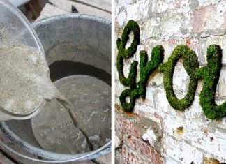 Comment faire du graffiti en mousse végétale ? Voici le tuto !│MiniBuzz