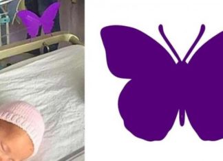 Si vous voyez un autocollant de papillon violet près d'un bébé, soyez très prudents! │MiniBuzz