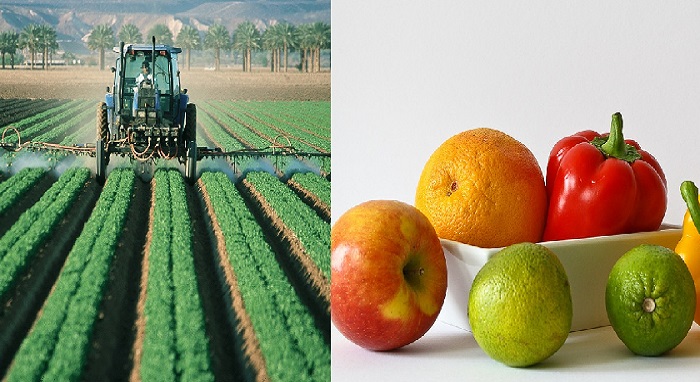 Les 3 astuces pour débarrasser vos fruits et légumes des pesticides.
